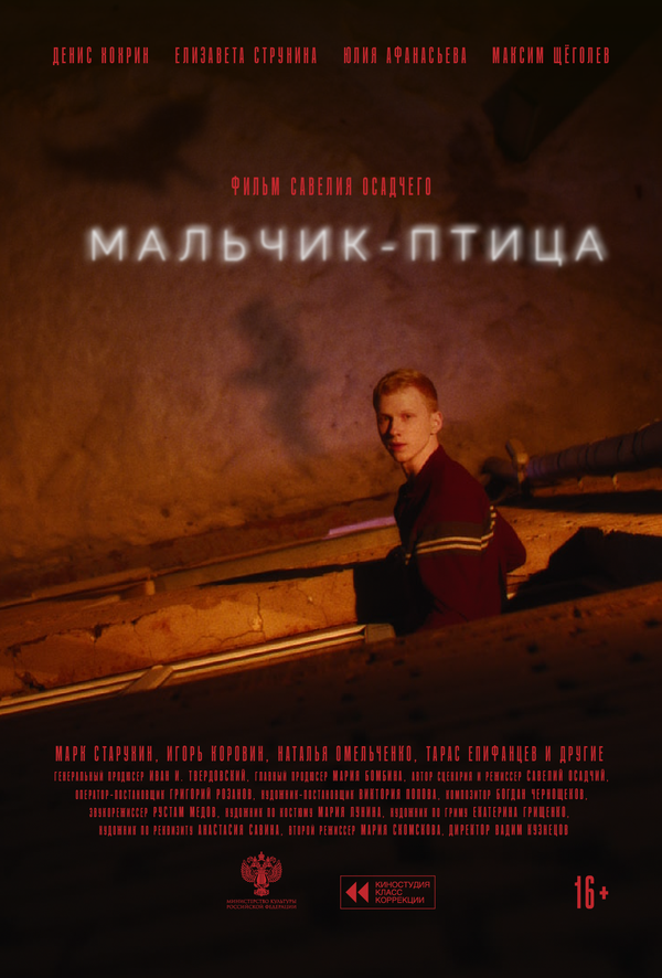Мальчик-птица